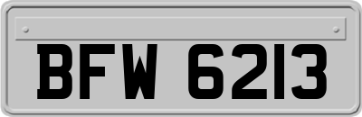 BFW6213