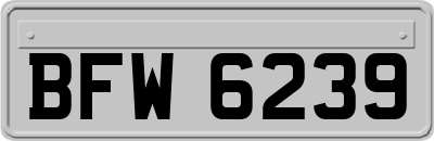 BFW6239