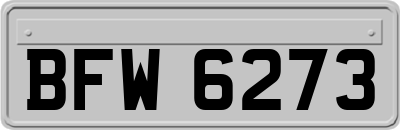 BFW6273