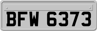 BFW6373
