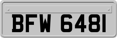 BFW6481