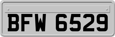 BFW6529
