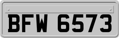 BFW6573