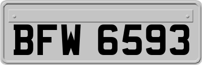 BFW6593