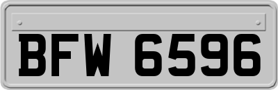 BFW6596