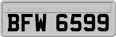 BFW6599