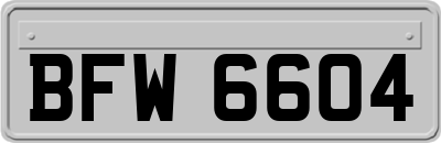 BFW6604