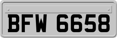 BFW6658