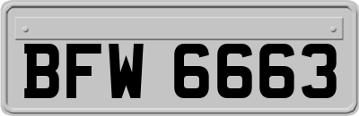 BFW6663