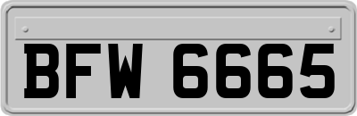 BFW6665