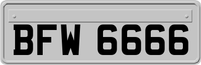 BFW6666