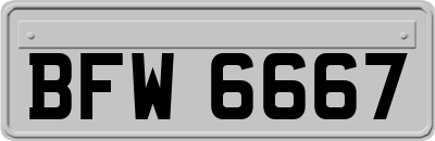 BFW6667