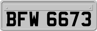 BFW6673