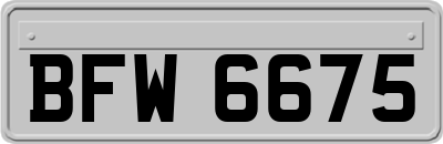 BFW6675
