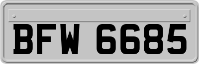 BFW6685