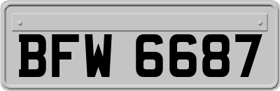 BFW6687