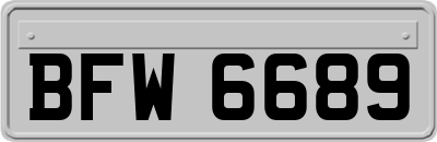 BFW6689