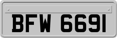 BFW6691