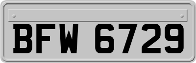 BFW6729