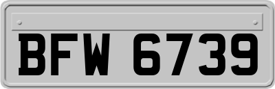 BFW6739