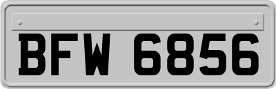 BFW6856