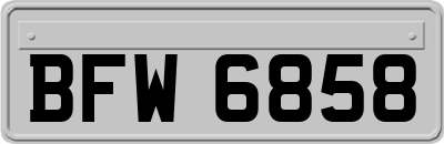 BFW6858