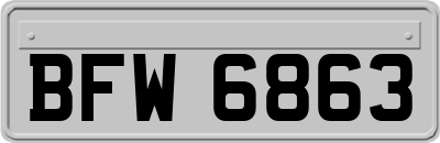 BFW6863