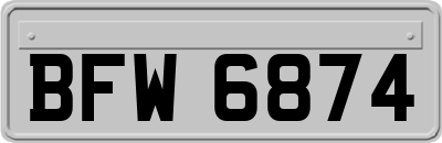 BFW6874