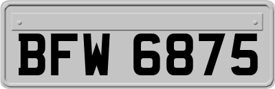 BFW6875