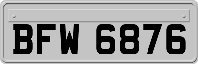 BFW6876