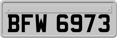 BFW6973