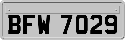 BFW7029