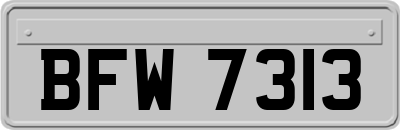 BFW7313