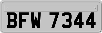 BFW7344