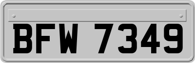 BFW7349