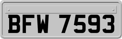 BFW7593