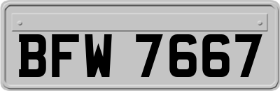 BFW7667