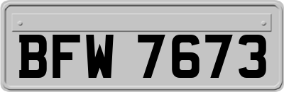 BFW7673