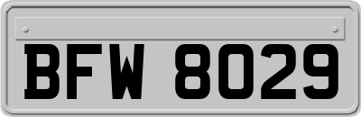 BFW8029