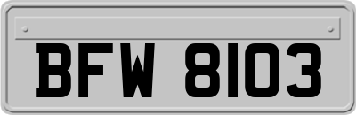 BFW8103