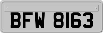 BFW8163