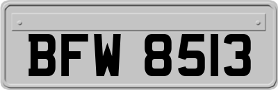 BFW8513