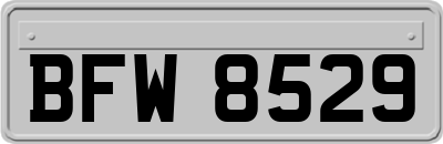 BFW8529