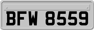 BFW8559