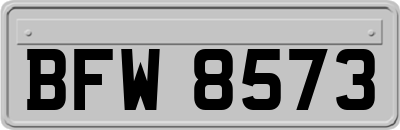 BFW8573