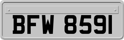 BFW8591