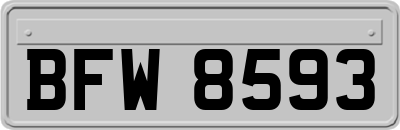BFW8593