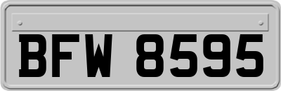 BFW8595