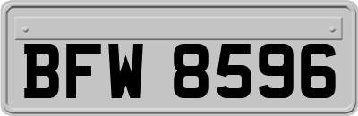 BFW8596