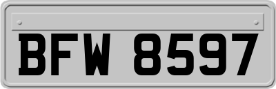 BFW8597